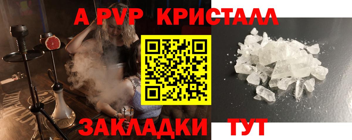 Alfa_PVP СК Урус-Мартан