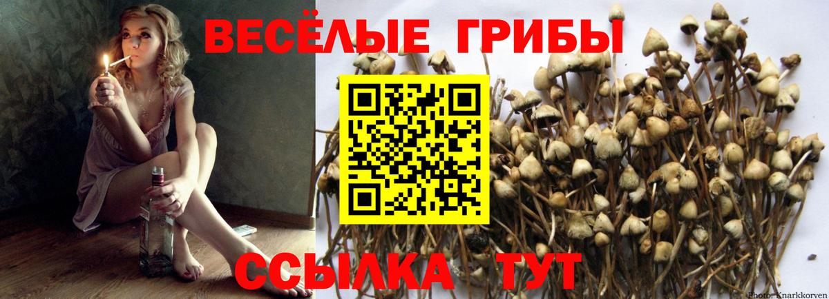 Псилоцибиновые грибы Magic Shrooms  Вход с VPN  Урус-Мартан  Псилоцибиновые грибы мухоморы 