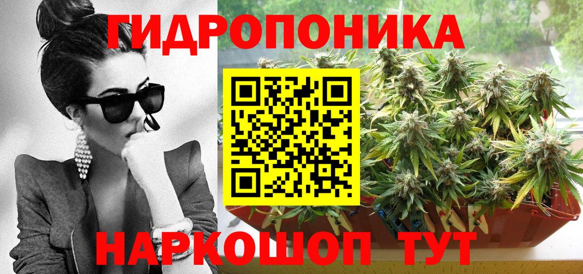 Бошки Шишки Ganja  МАРИХУАНА Amnesia  Урус-Мартан  Марихуана Bruce Banner  Вход с VPN  Бошки Шишки Ganja 